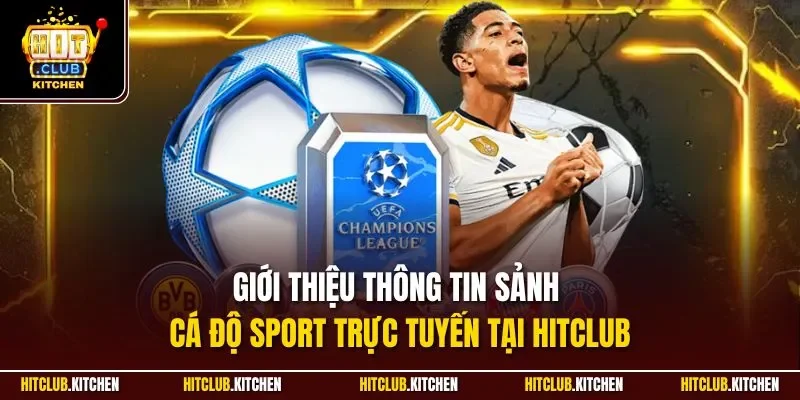 Giới thiệu thông tin sảnh cá độ Sport trực tuyến tại Hitclub